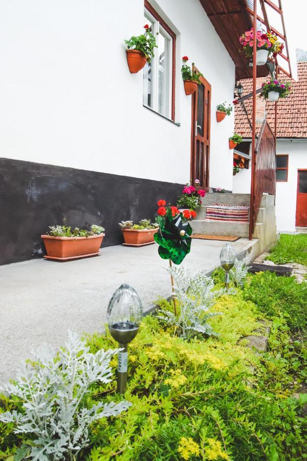 Casa de vacanță Hársfa Vendégház Rimetea Exterior foto