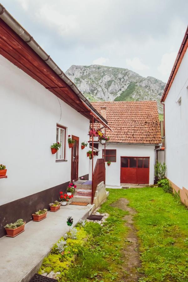 Casa de vacanță Hársfa Vendégház Rimetea Exterior foto