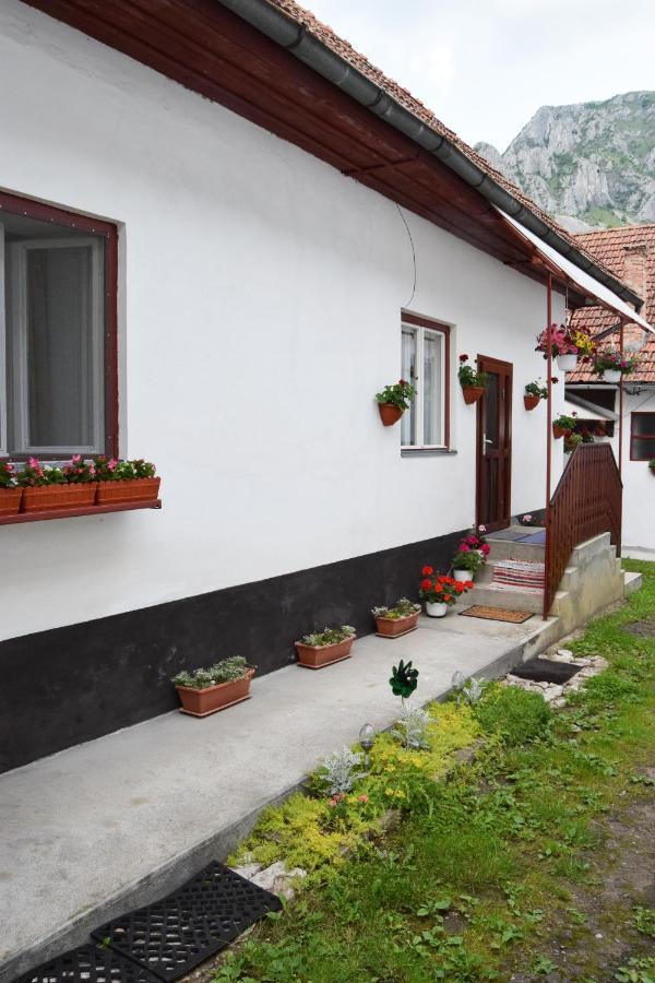 Casa de vacanță Hársfa Vendégház Rimetea Exterior foto