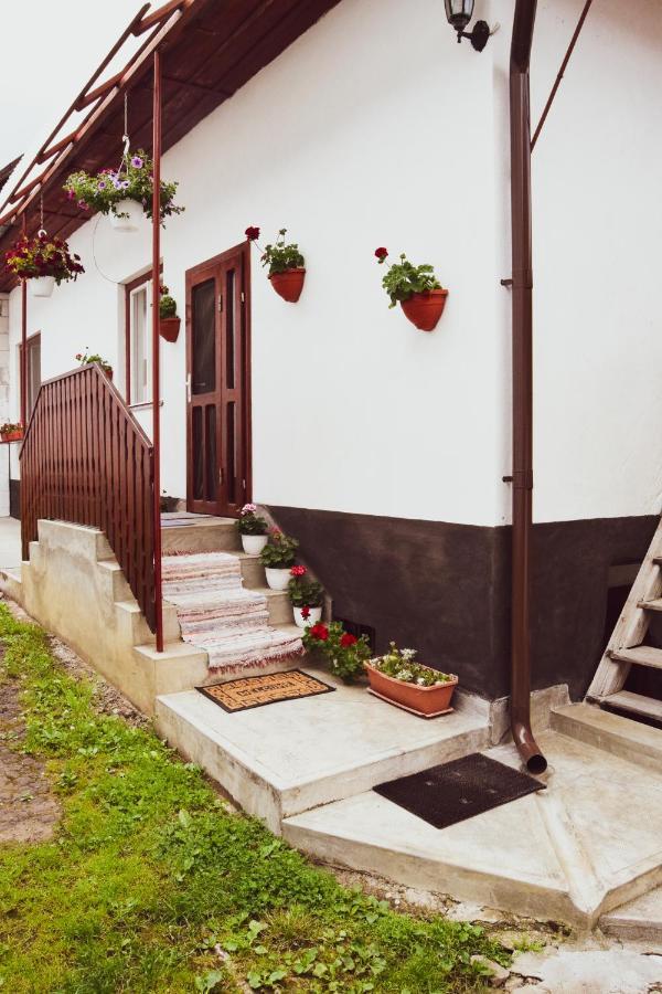 Casa de vacanță Hársfa Vendégház Rimetea Exterior foto